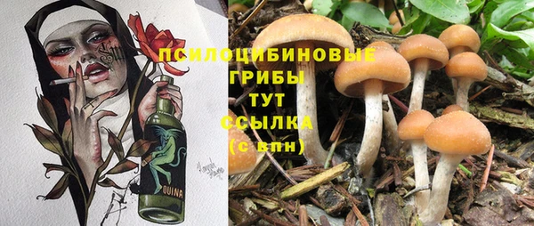 мескалин Баксан