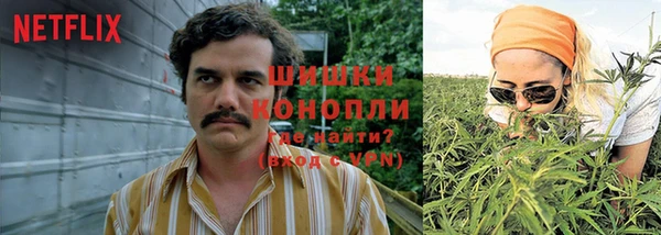 ГАЛЛЮЦИНОГЕННЫЕ ГРИБЫ Семёнов