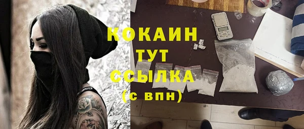 прущие грибы Семилуки